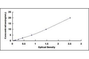 Typical standard curve (Butyrylcholinesterase ELISA 试剂盒)