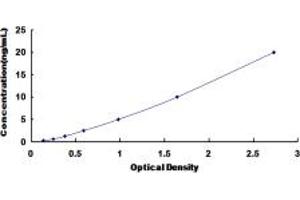 Typical standard curve (HSPBP1 ELISA 试剂盒)