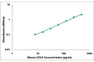 Representative Standard Curve (CCL9 ELISA 试剂盒)