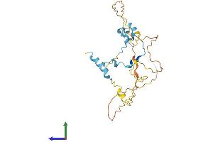 Protein Structure (PS) image for CDC42 Effector Protein (Rho GTPase Binding) 3 (CDC42EP3) (AA 1-254) protein (His tag) (ABIN7552880)