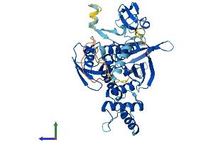 AlphaFold protein structure predicition of Mouse Recombinant Mylip Protein, UniprotID Q8BM54
