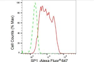 Flow cytometric analysis of SP1 expression in HeLa cells using SP1 antibody (ABIN7800414), 1:2,000). (Recombinant SP1 抗体)