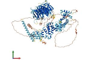 AlphaFold protein structure predicition of Mouse Recombinant Hps5 Protein, UniprotID P59438