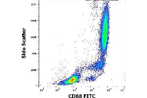Flow cytometry surface staining pattern of human peripheral whole blood stained using anti-human CD88 (S5/1) FITC antibody (4 μL reagent / 100 μL of peripheral whole blood). (C5AR1 抗体  (AA 15-27) (FITC))