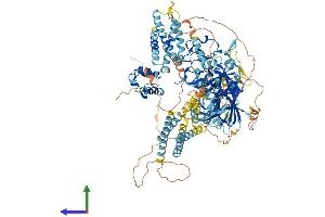 Protein Structure (PS) image for Diacylglycerol Kinase, delta 130kDa (DGKD) (AA 1-1214) protein (His tag) (ABIN7553644)