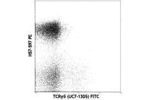 Flow Cytometry of anti-TCRbeta PE - 200-B08-N92 Flow Cytometry of anti-TCRbeta Phycoerythrin Conjugated Monoclonal Antibody. (TCR beta 抗体  (PE))