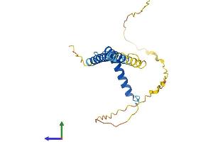 AlphaFold protein structure predicition of Mouse Recombinant Ccdc28b Protein, UniprotID Q8CEG5
