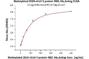 ELISA image for SARS-CoV-2 Spike S1 (RBD) protein (His tag,AVI tag,Biotin) (ABIN6952456)