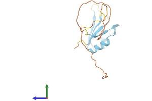 Protein Structure (PS) image for RNA Binding Motif Protein 3 (RBM3) (AA 1-157) protein (His tag) (ABIN7551312)