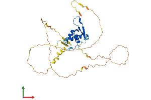 Protein Structure (PS) image for Forkhead Box I2 (FOXI2) (AA 1-311) protein (His tag) (ABIN7557034)