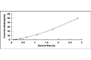Typical standard curve (GOT2 ELISA 试剂盒)