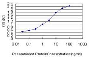 Detection limit for recombinant GST tagged CRTAP is approximately 0. (CRTAP 抗体  (AA 307-401))
