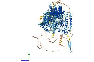 AlphaFold protein structure predicition of Mouse Recombinant Dhx29 Protein, UniprotID Q6PGC1