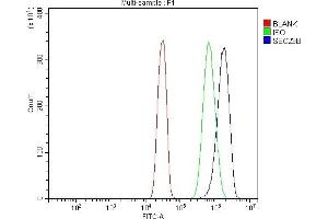 Flow Cytometry analysis of SiHa cells using anti-SEC23B antibody (ABIN7600429). (Sec23 Homolog B 抗体  (AA 190-581))