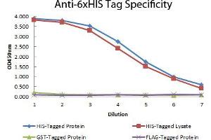 ELISA of Mouse anti-6xHIS Tag Antibody.