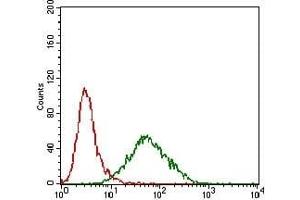 Flow cytometric analysis of Hela cells using PRL mouse mAb (green) and negative control (red). (Prolactin 抗体  (AA 65-173))