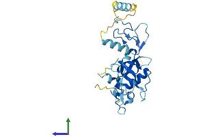Protein Structure (PS) image for Zinc Finger, AN1-Type Domain 1 (ZFAND1) (AA 1-268) protein (His tag) (ABIN7545726)