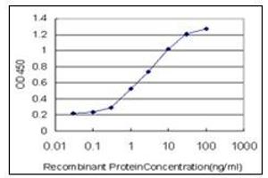 ELISA image for anti-SMAD, Mothers Against DPP Homolog 3 (SMAD3) antibody (ABIN781907)