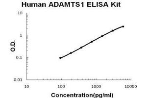 Human ADAMTS1 PicoKine ELISA Kit standard curve (ADAMTS1 ELISA 试剂盒)