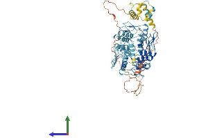 Protein Structure (PS) image for Zinc Finger and SCAN Domain Containing 2 (ZSCAN2) (AA 1-614) protein (His tag) (ABIN7545610)