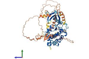 AlphaFold protein structure predicition of Mouse Recombinant Mapk4 Protein, UniprotID Q6P5G0