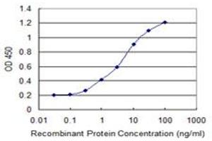 Detection limit for recombinant GST tagged KLHL2 is 0. (KLHL2 抗体  (AA 1-66))