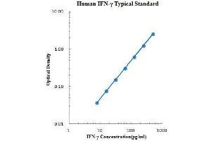 ELISA image for Interferon gamma (IFNG) ELISA Kit (ABIN2472071)