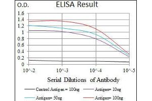 Black line: Control Antigen (100 ng), Purple line: Antigen(10 ng), Blue line: Antigen (50 ng), Red line: Antigen (100 ng), (SCGB1A1 抗体  (AA 26-91))