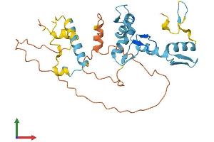 AlphaFold protein structure predicition of Human Recombinant ZNF705B Protein, UniprotID P0CI00 (ZNF705B Protein (AA 1-300) (His tag))