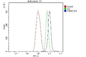 Flow Cytometry analysis of THP-1 cells using anti-GRB10 antibody (ABIN7599161). (GRB10 抗体  (AA 1-251))