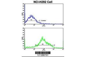 Flow cytometric analysis of NCI-H292 cells using MyoGEF Antibody (N-term)(bottom histogram) compared to a negative control cell (top histogram). (PLEKHG6 抗体  (N-Term))