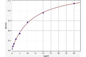 Adipsin ELISA 试剂盒