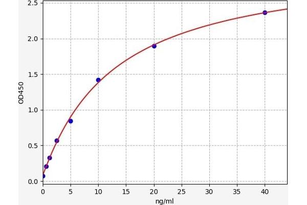 Adipsin ELISA 试剂盒