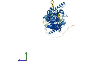AlphaFold protein structure predicition of Mouse Recombinant Abcg5 Protein, UniprotID Q99PE8