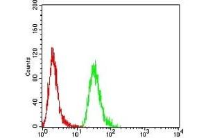 Flow cytometric analysis of Hela cells using MB mouse mAb (green) and negative control (red). (Myoglobin 抗体  (AA 2-154))