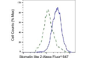 Validation of Stomatin like 2 knockdown using flow cytometry. (Recombinant STOML2 抗体)