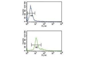 Flow Cytometry (FACS) image for anti-Proprotein Convertase Subtilisin/kexin Type 2 (PCSK2) (AA 318-346) antibody (ABIN3032333)