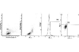 Image no. 1 for anti-Interleukin 4 (IL4) antibody (ABIN1107847) (IL-4 抗体)