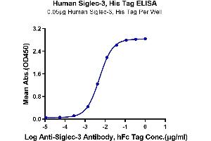 ELISA image for CD33 (CD33) (AA 18-259) protein (His-Avi Tag) (ABIN7274159)