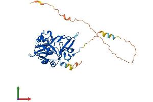 Protein Structure (PS) image for Chromosome 3 Open Reading Frame 37 (C3ORF37) (AA 1-354) protein (His tag) (ABIN7548329)