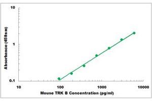Representative Standard Curve (TRKB ELISA 试剂盒)