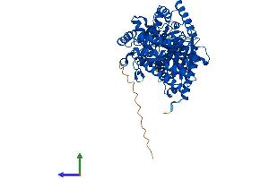 Protein Structure (PS) image for Carnitine O-Acetyltransferase (CRAT) (AA 1-626) protein (His tag) (ABIN7563296)