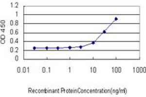 Detection limit for recombinant GST tagged MBNL1 is approximately 3ng/ml as a capture antibody. (MBNL1 抗体  (AA 1-382))