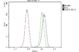 Flow Cytometry analysis of U20S cells using anti- SLC2A1 antibody (ABIN6719416).