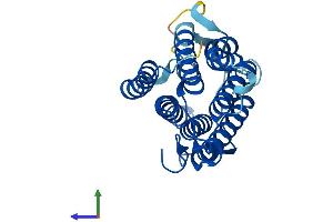 Protein Structure (PS) image for Steroid-5-alpha-Reductase, alpha Polypeptide 2 (3-Oxo-5 alpha-Steroid delta 4-Dehydrogenase alpha 2) (SRD5A2) (AA 1-254) protein (His tag) (ABIN7551656)