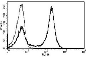 Flow Cytometry (FACS) image for anti-CD5 (CD5) antibody (ABIN1106436) (CD5 抗体)