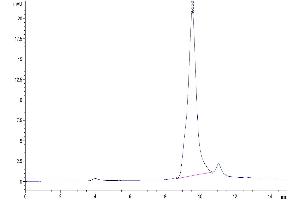 Size-exclusion chromatography-High Pressure Liquid Chromatography (SEC-HPLC) image for Plasminogen Activator, Urokinase (PLAU) (AA 21-431) protein (His tag) (ABIN7275455)