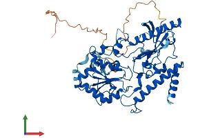 Protein Structure (PS) image for Fucosyltransferase 11 (Alpha (1,3) Fucosyltransferase) (FUT11) (AA 1-492) protein (His tag) (ABIN7547849)