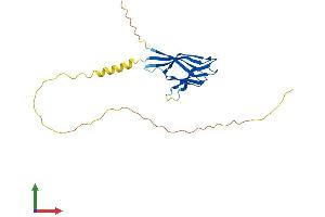 Protein Structure (PS) image for Nucleophosmin/nucleoplasmin 2 (NPM2) (AA 1-214) protein (His tag) (ABIN7549816)