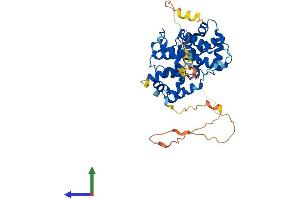 AlphaFold protein structure predicition of Mouse Recombinant Ccne2 Protein, UniprotID Q9Z238